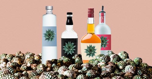 無(wú)酒精飲品如何實(shí)現(xiàn)“酒香四溢”？看國(guó)外酒企創(chuàng)新酒精飲料的三大路徑